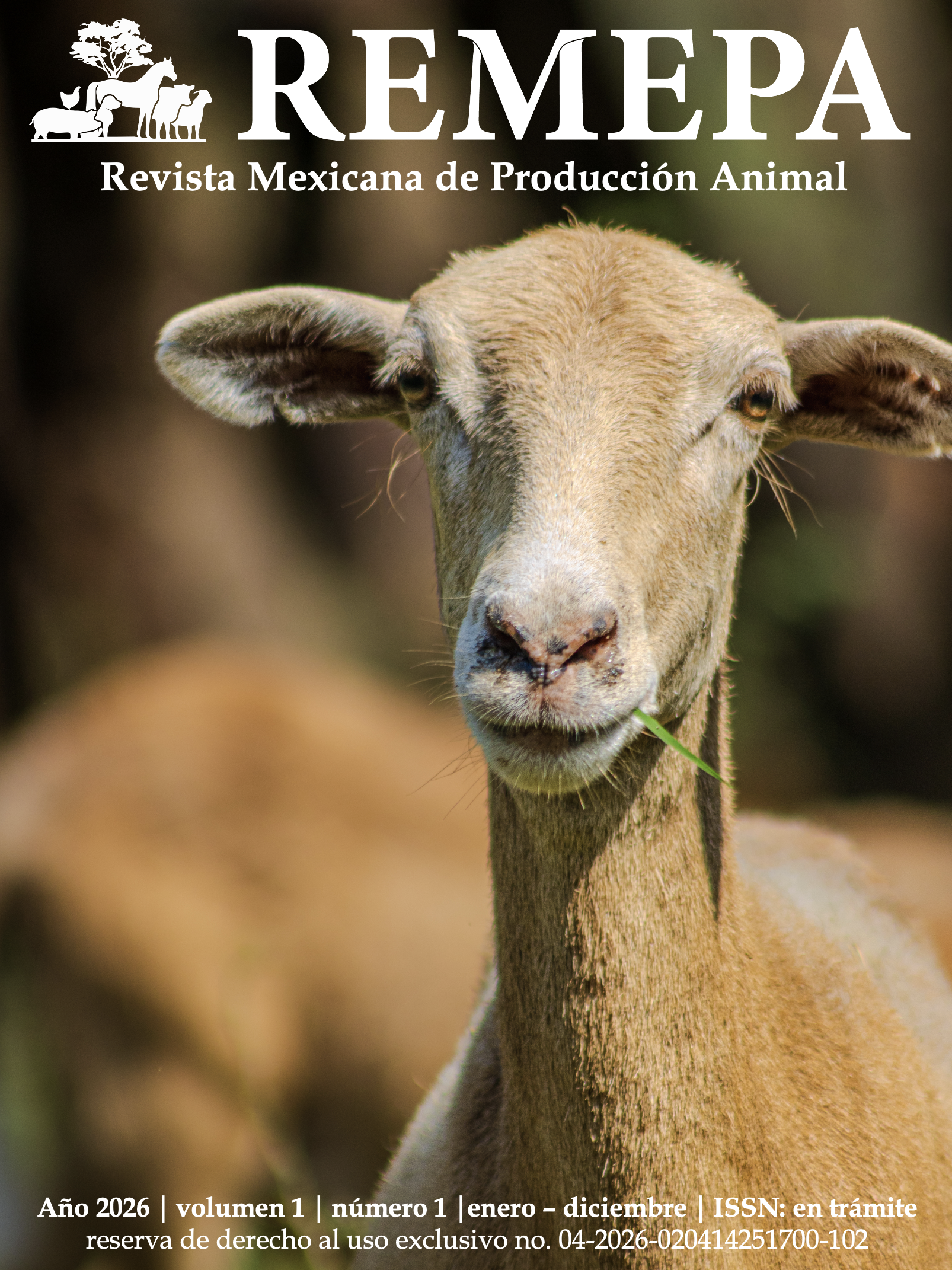 					Ver Vol. 1 Núm. 1 (2026)
				