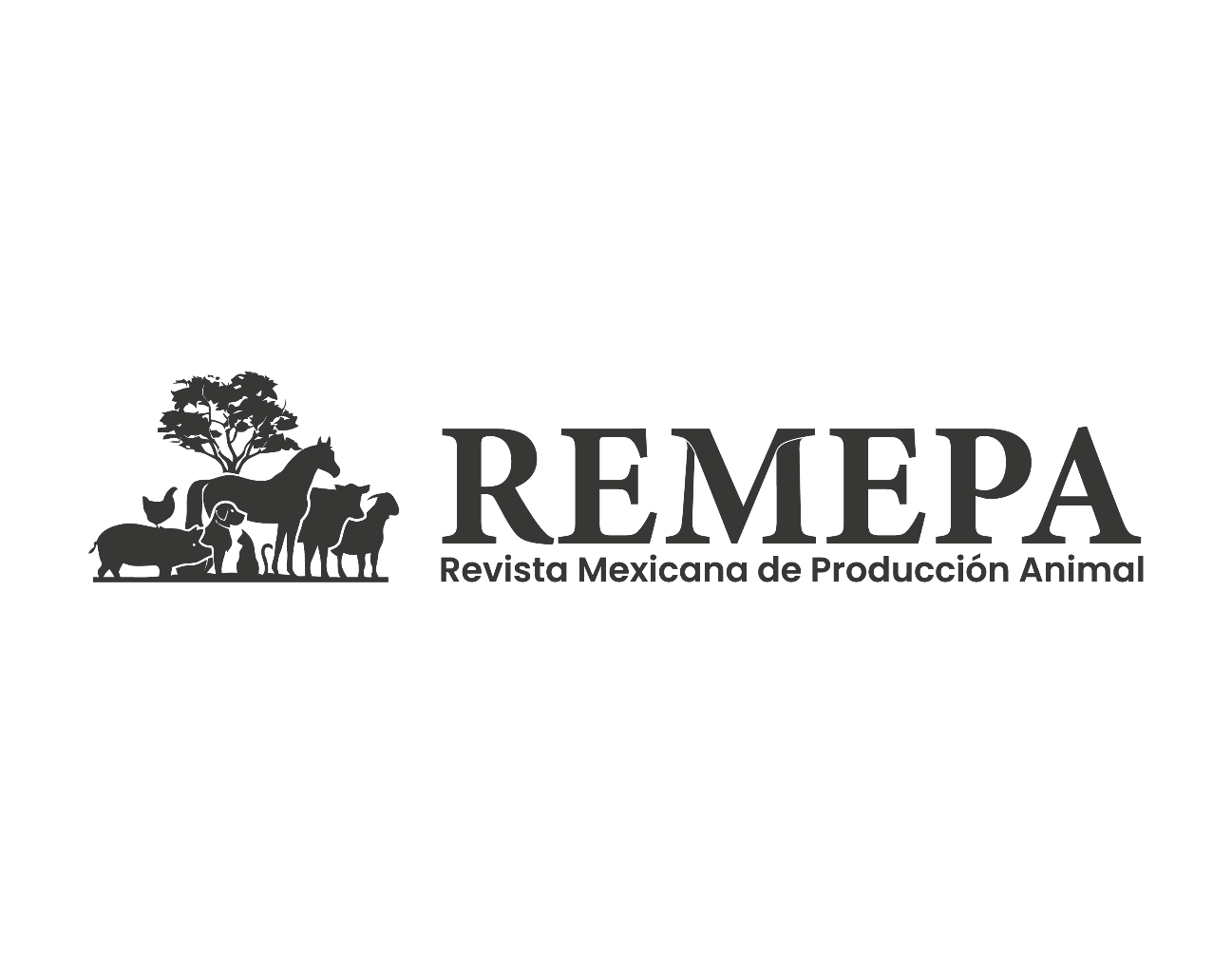 Revista Remepa